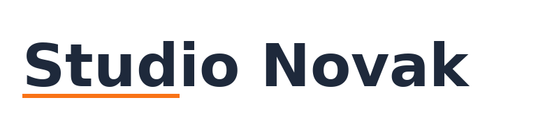 Studio Novak logo